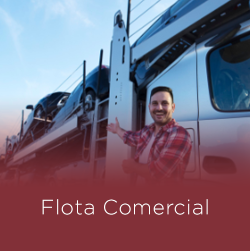 Compramos tu vehiculo 